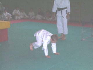 Image description